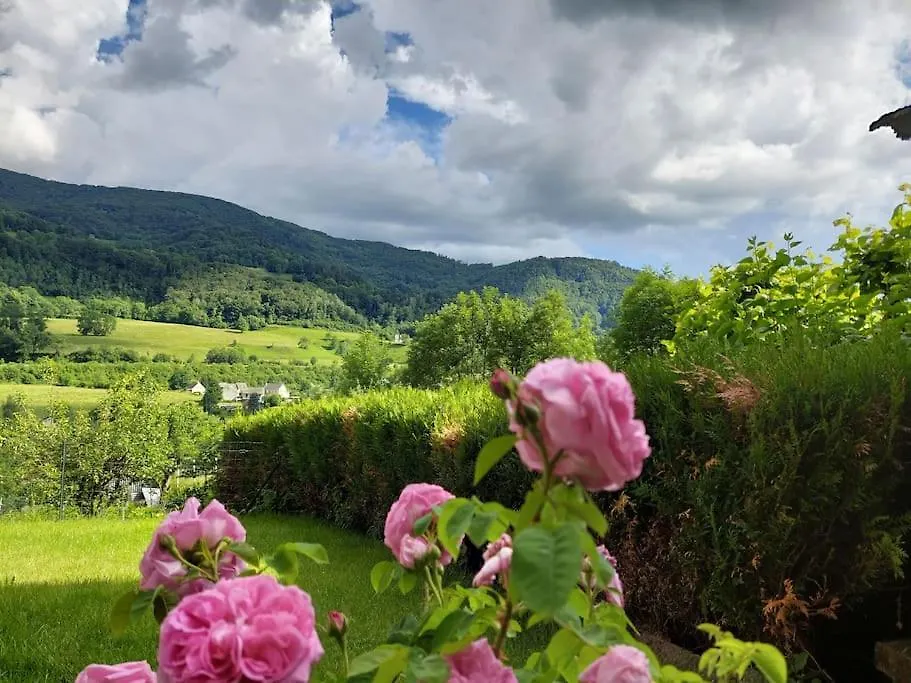 Aux Vallons Melodieux Villa Thiezac