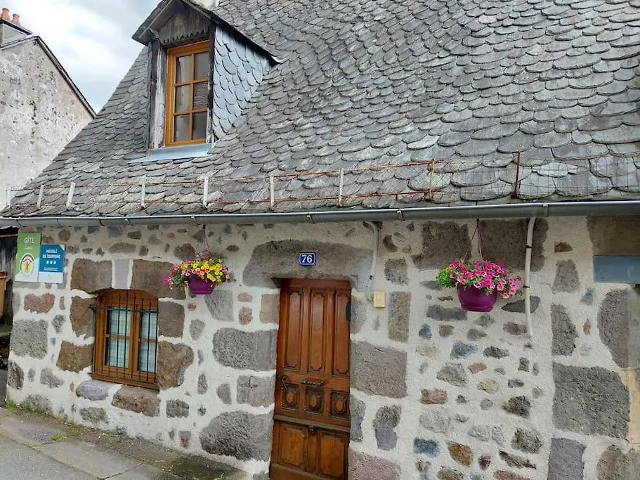 Aux Vallons Melodieux Villa Thiezac